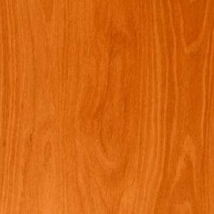 Plascon Woodcare - Light Oak